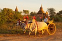Burma2k6-ScrHDsRGB-2983