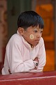 Sunrise at Shwedagon - ScrHDsRGB-2728