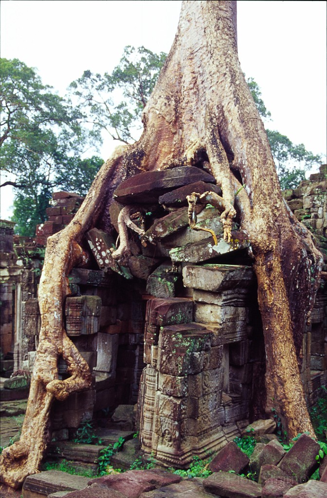 Angkor 3 Angkor Wat 2 (angkor) ScrHDsRGB.jpg