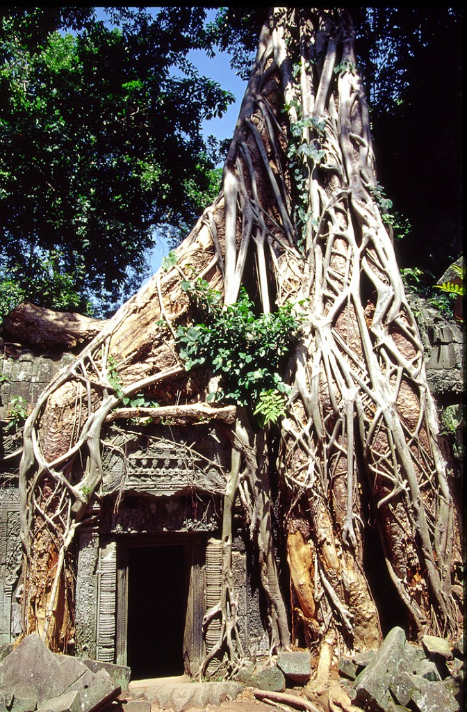 Angkor 4 Angkor Wat 3 ScrHDsRGB.jpg
