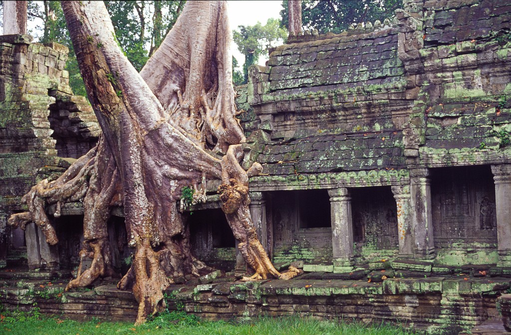 Angkor 6 Angkor Wat 5 ScrHDsRGB.jpg