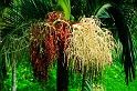 Kamerun-ScrHDsRGB-1098