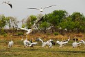 Kamerun-ScrHDsRGB-2603
