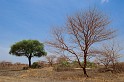 Kamerun-ScrHDsRGB-2617