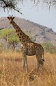 Kamerun-ScrHDsRGB-2641