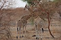 Kamerun-ScrHDsRGB-2653