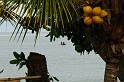 Kamerun-ScrHDsRGB-2890