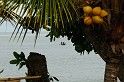 Chapter9 - Kribi Forest - Beach - Pygmees