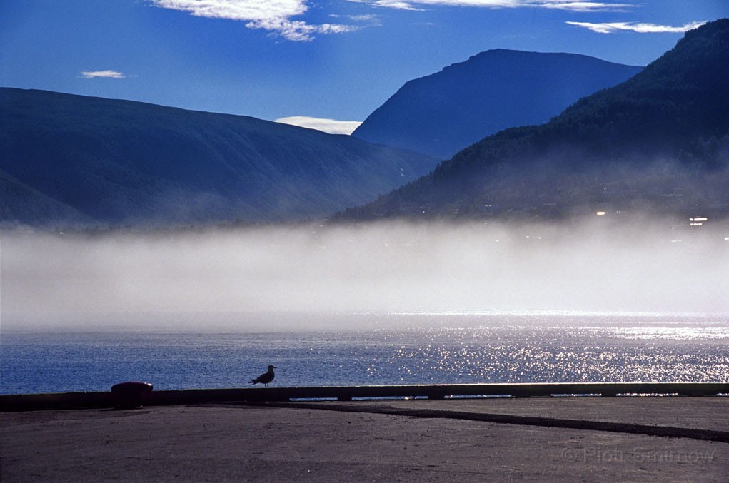 Spitsbergen0022.jpg