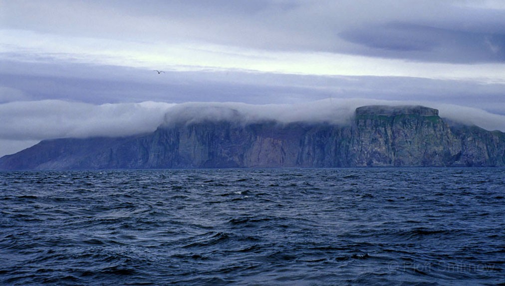Spitsbergen0040.jpg