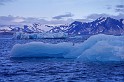 Spitsbergen0140