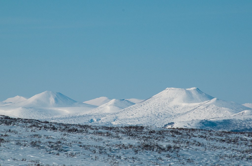 ScrRes-6924.jpg