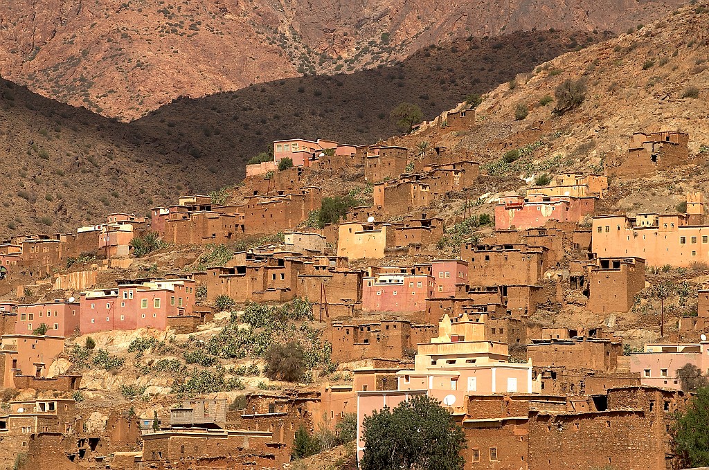 PICT2305.jpg