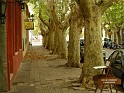 DSCN2345